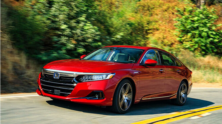 Honda Accord Việt Nam gặp khó vì 2 yếu tố Hai chú chim uyên ương Honda Accord của Việt Nam