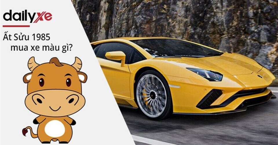 Nam Nữ Ất Sửu 1985 mua xe màu gì?