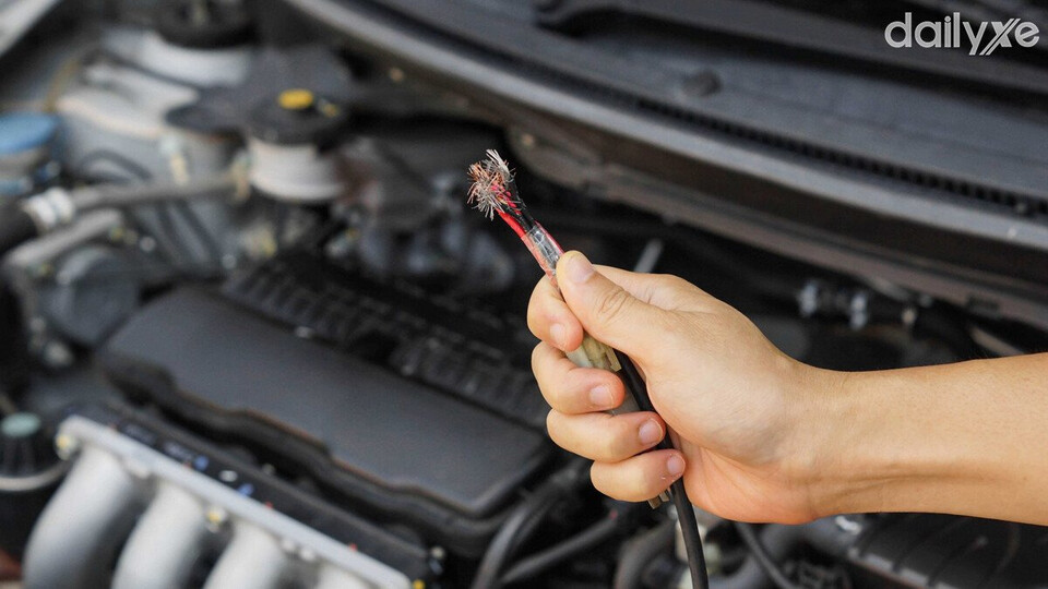 Ỗ tô để lâu nơi trú ẩn chuột gây hư hại đường điện xe