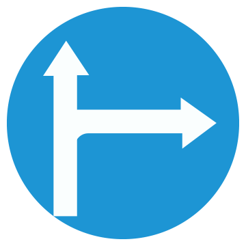 Biển số R.301f Hướng đi phải theo