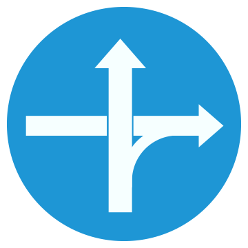 Biển số R.308b  Tuyến đường cầu vượt cắt qua