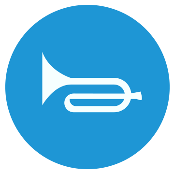 Biển số R.309  Ấn còi