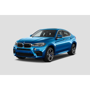 BMW X6 xDrive 35i (Máy xăng)