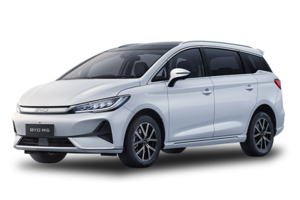 BYD M6