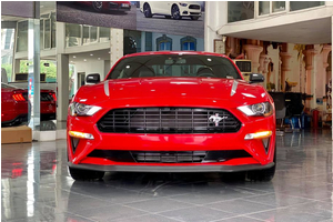 Cận cảnh Ford Mustang High Performance 2020 đầu tiên cập bến Việt Nam