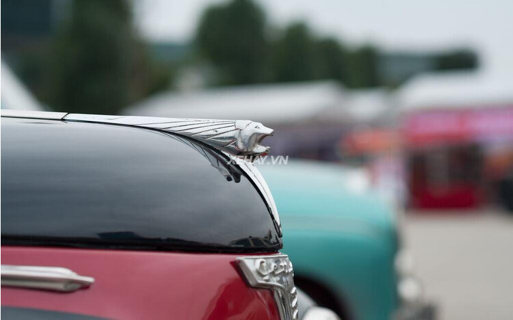 Khép kín "đồ cổ" Peugeot 203 Convertible tại Ngày hội đam mê môtô - Ảnh 4 Khép kín "đồ cổ" Peugeot 203 Convertible tại Ngày hội đam mê môtô - Ảnh 4