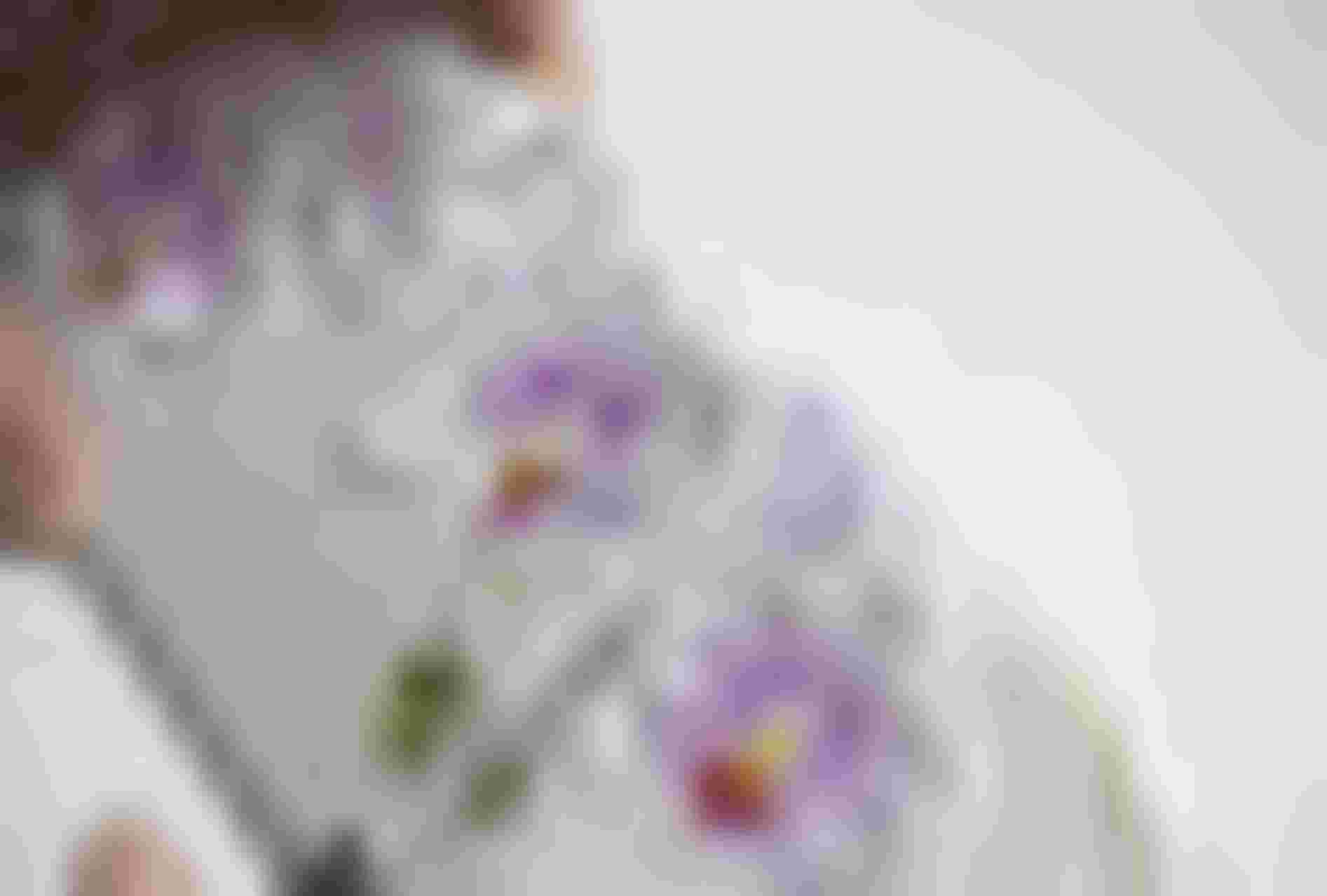 chiec rolls-royce phantom dac biet lay chu de tu hoa phong lan