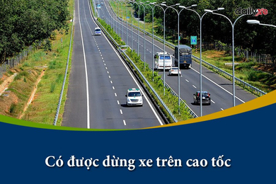 Quy định chở hàng xe bán tải ? Sự thật nhiều dòng xe tải và bán tải ...