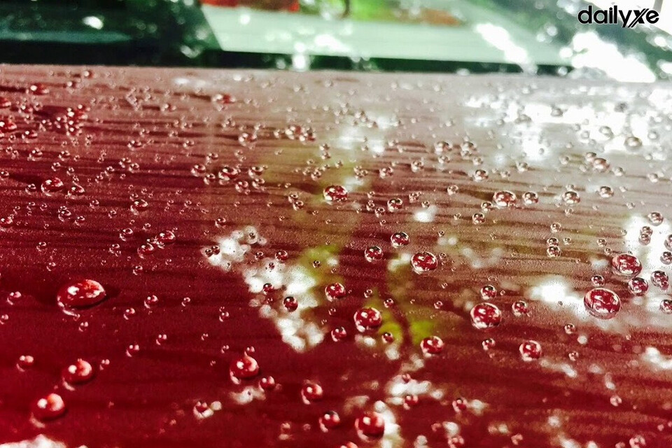 Phủ Ceramic chống bám nước bề mặt sơn