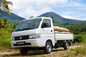 Đầu tư mua Suzuki Carry Pro - Một vốn bốn lời
