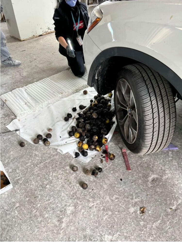 Đi ô tô thấy động cơ có tiếng động lạ, mang ra tiệm thì chủ xe tá hoả vì đã “cướp” nhầm cả một gia tài di o to thay dong co co tieng dong la, mang ra tiem thi chu xe ta hoa vi da “cuop” nham ca mot gia tai