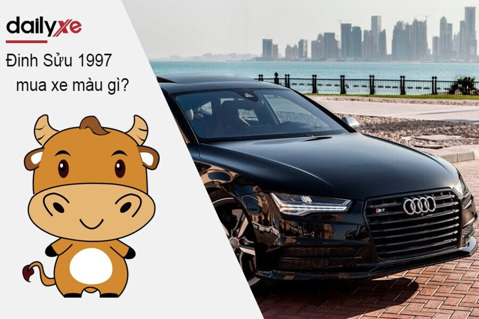 Nam Nữ Đinh Sửu 1997 mua xe màu gì