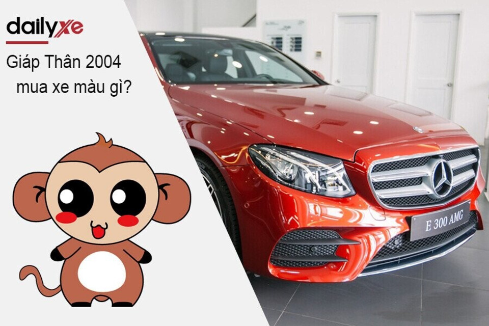Nam Nữ Giáp Thân 2004 mua xe màu gì