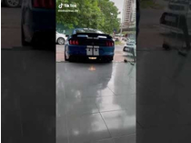 Hé lộ Ford Mustang Shelby GT500 2020 đầu tiên vừa có mặt tại Việt Nam