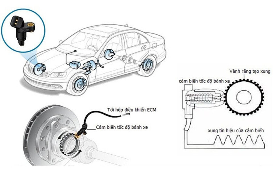 Cảm biến tốc độ giúp đo lường tốc độ quay của bánh xe ô tô