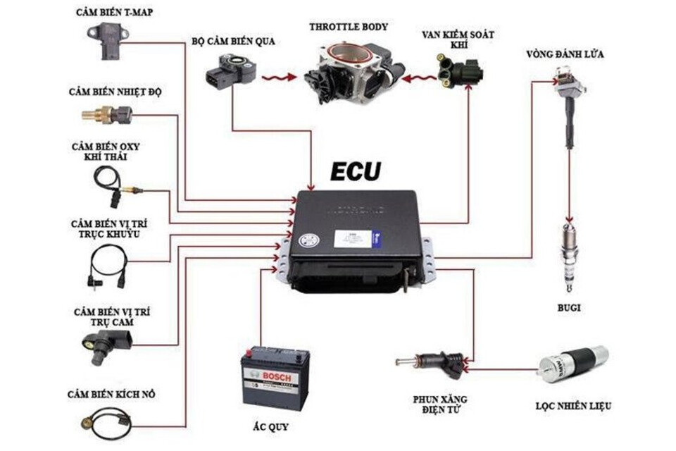 ECU được xem là bộ phận đầu não hệ thống hỗ trợ lái xe an toàn trên ô tô