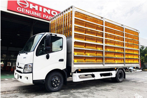 Xe Tải Hino XZU650 1.5 Tấn Chở Gia Cầm