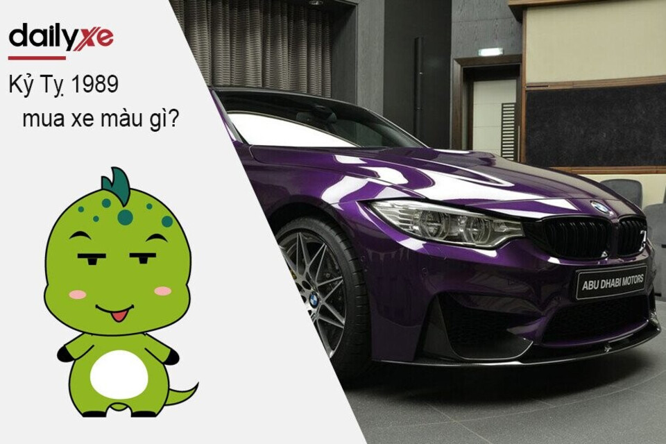 Nam Nữ Kỷ Tỵ 1989 mua xe màu gì
