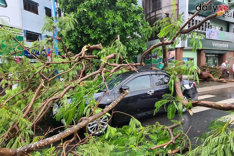 Đậu đỗ xe ô tô ở những nơi thoáng đãng tránh cây cao lúc mưa bão