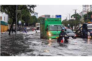 Kinh nghiệm lái xe qua đường ngập nước an toàn mùa mưa bão