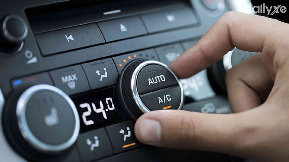 Tận hưởng không khí trong lành và thời tiết đẹp lấy gió ngoài