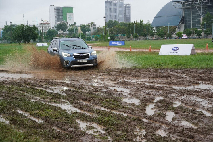 Lý do Subaru Forester được lòng người dùng Việt ly do subaru forester duoc long nguoi dung viet