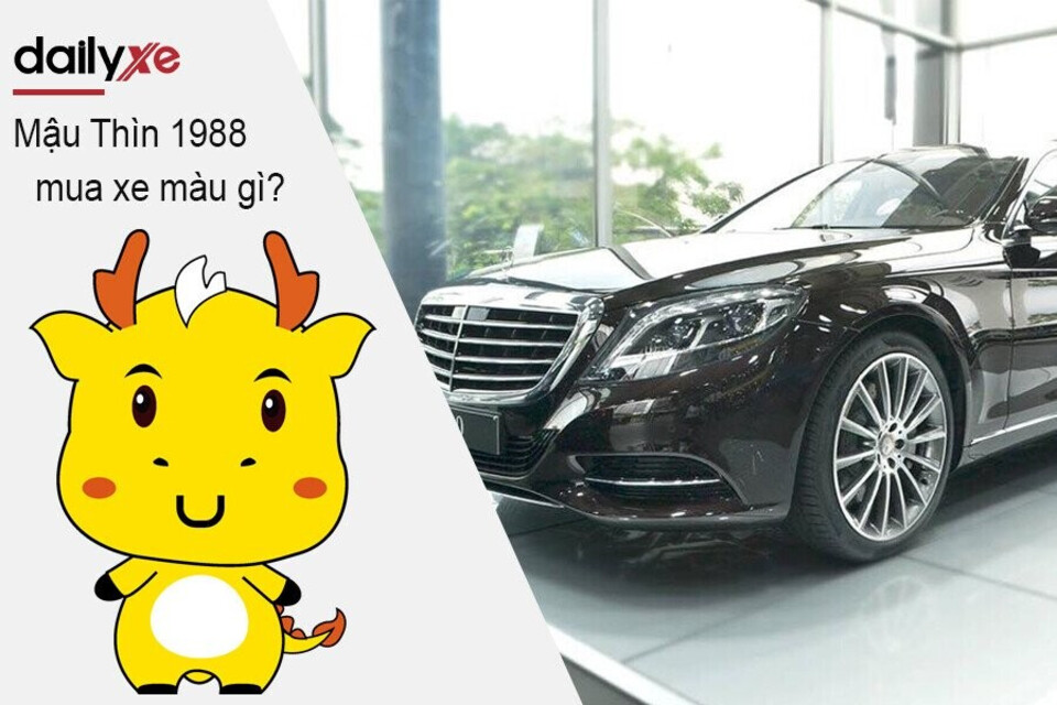 Nam Nữ Mậu Thìn 1988 mua xe màu gì?