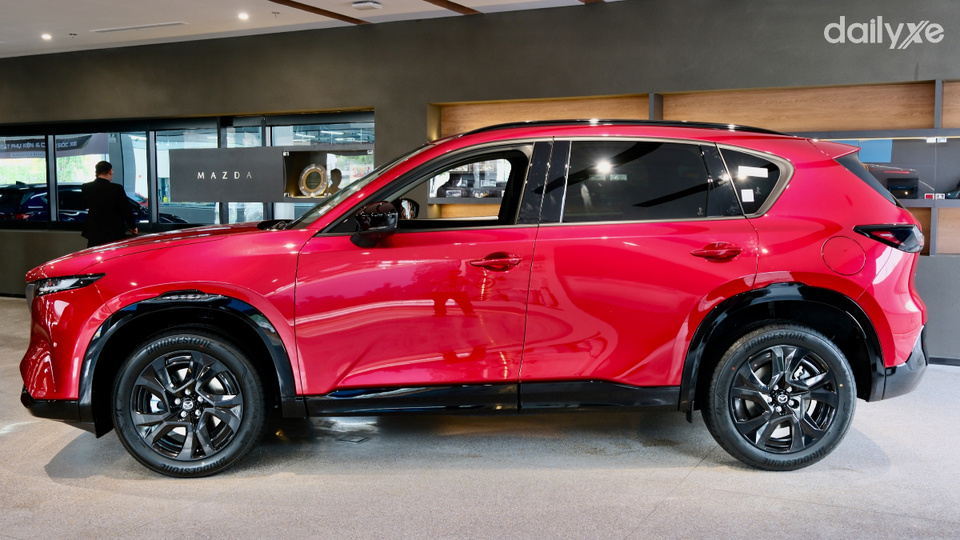 Kích thước nổi bật