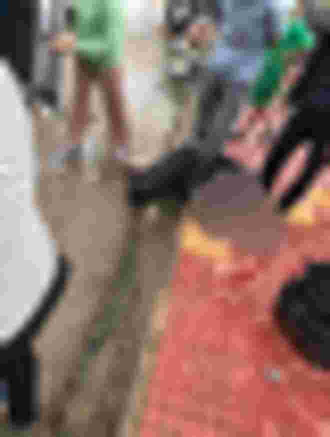 nghet tho csgt truy bat tai xe xe dau keo gay tai nan lien hoan khien 11 nguoi thuong vong