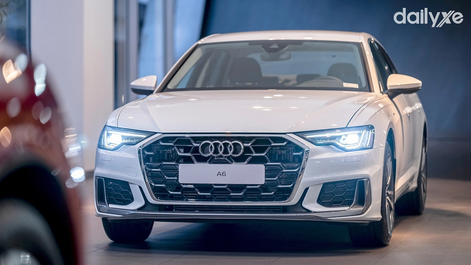 Sở hữu kích thước nổi bật cùng bảng màu đa dạng