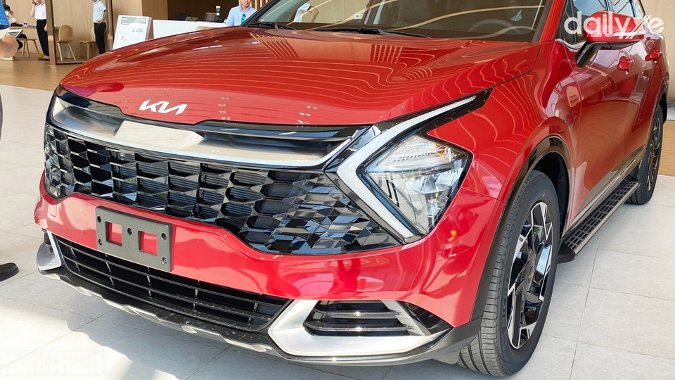 Lưới tản nhiệt mũi hổ điển hình