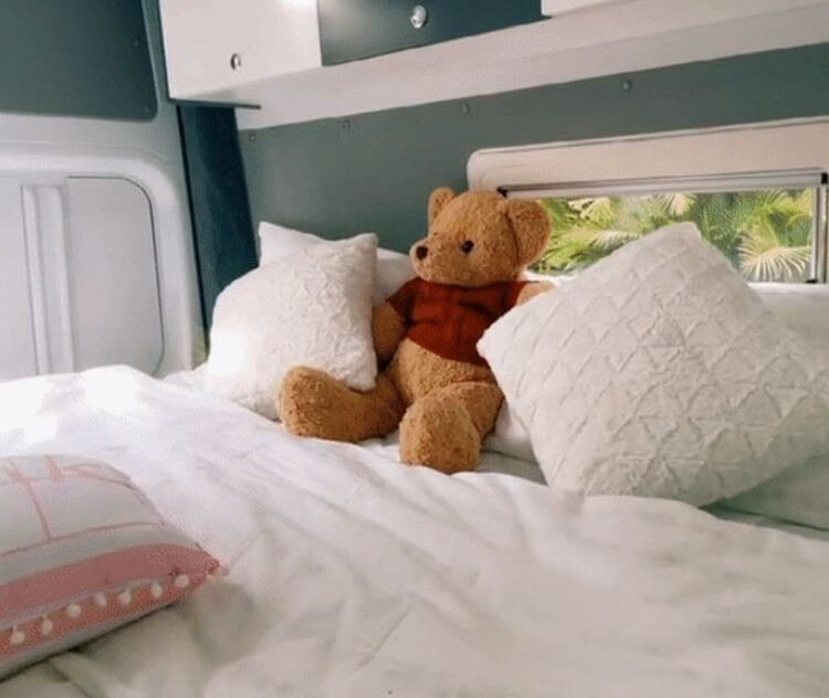 RV RV trên 2 tuổi 