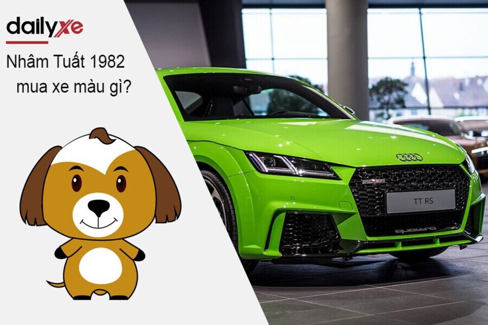 Nam Nữ Nhâm Tuất 1982 mua xe màu gì