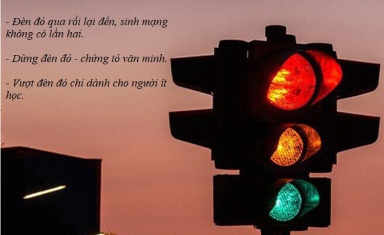 nhung nhung