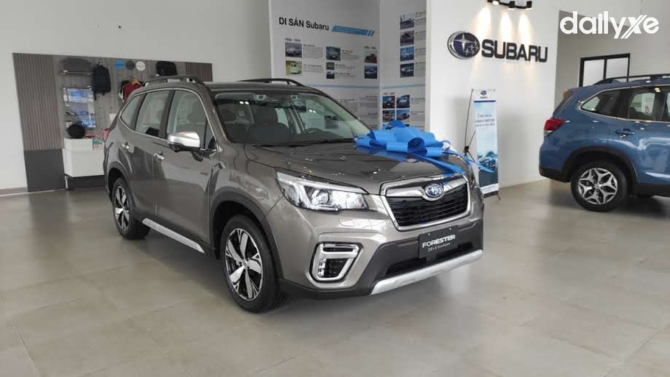 Phòng trưng bày thiết kế khang trang sang trọng