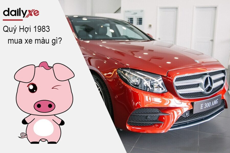 Nam Nữ Quý Hợi 1983 mua xe màu gì