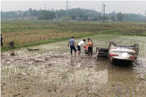 Thái Nguyên: Hyundai Elantra ngửa bụng dưới ruộng lúa