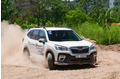 Thử thách giới hạn Off-road cùng Subaru Forester 2020