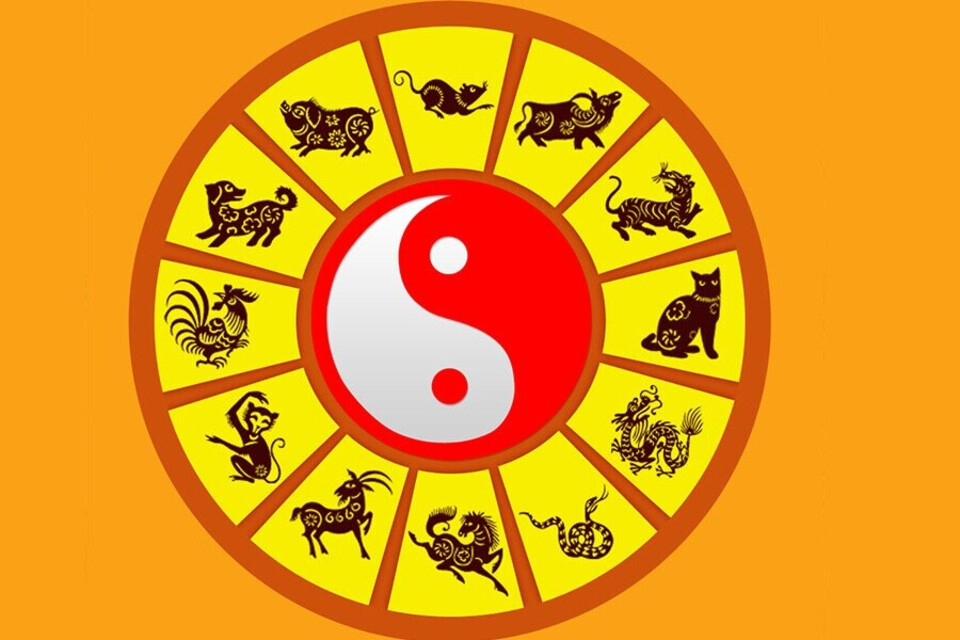 Sinh thường xem tử vi hằng ngày Sinh thường xem tử vi hằng ngày