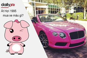 Nam và Nữ Tuổi Ất Hợi 1995 mua xe màu gì hợp mệnh 2025?