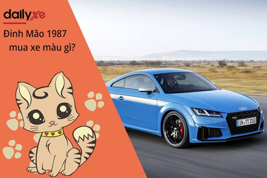 Nam và Nữ Tuổi Đinh Mão 1987 mua xe màu gì hợp mệnh 2025? Nam và Nữ Tuổi Đinh Mão 1987 mua xe màu gì hợp mệnh 2025?