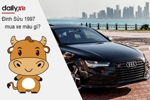 Nam và Nữ Tuổi Đinh Sửu 1997 mua xe màu gì hợp mệnh 2025?