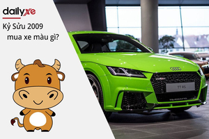 Nam và Nữ Tuổi Kỷ Sửu 2009 mua xe màu gì hợp mệnh 2026?