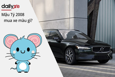 Nam và Nữ Tuổi Mậu Tý 2008 mua xe màu gì hợp mệnh 2026? Nam và Nữ Tuổi Mậu Tý 2008 mua xe màu gì hợp mệnh 2026?