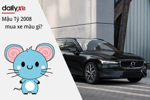 Nam và Nữ Tuổi Mậu Tý 2008 mua xe màu gì hợp mệnh 2026?